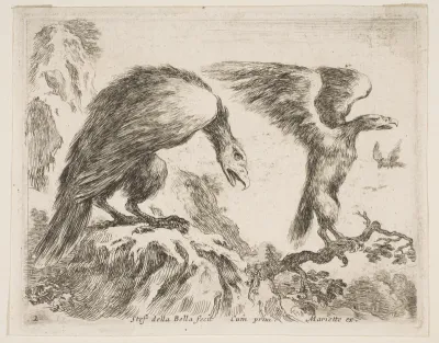Plate 2: Eagle and Eaglet, from Various Animals