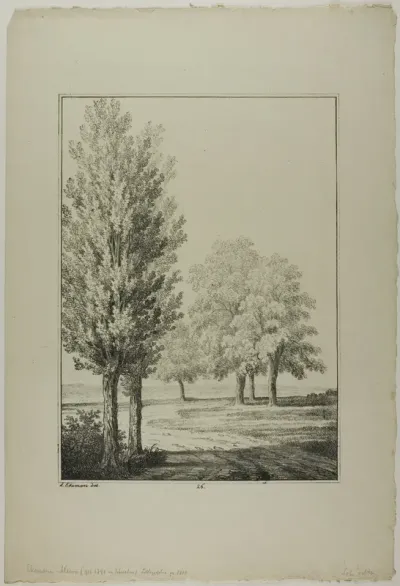 Plate 26 from Blatt Baum und Landschafts Studien