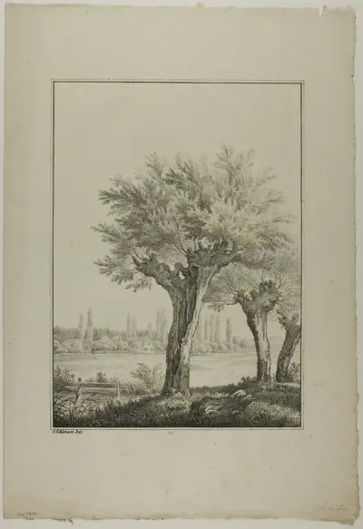 Plate 27 from Blatt Baum und Landschafts Studien