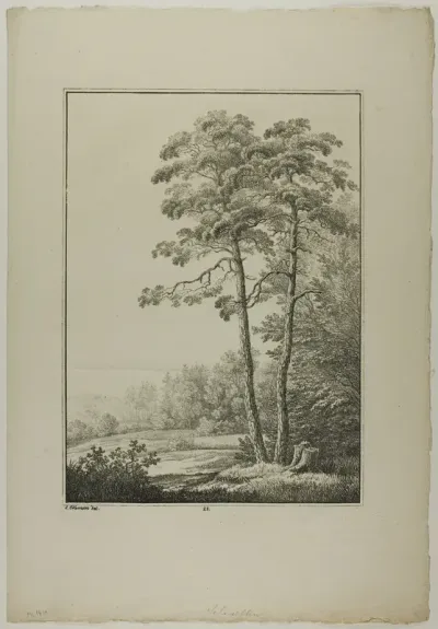 Plate 28 from Blatt Baum und Landschafts Studien