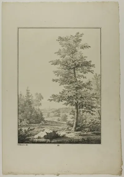 Plate 29 from Blatt Baum und Landschafts Studien