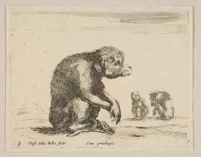 Plate 3: seated monkey, from "Various animals" (Diversi animali)