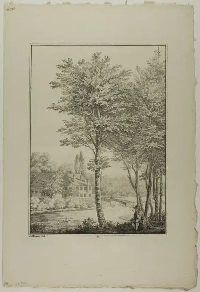 Plate 31 from Blatt Baum und Landschafts Studien
