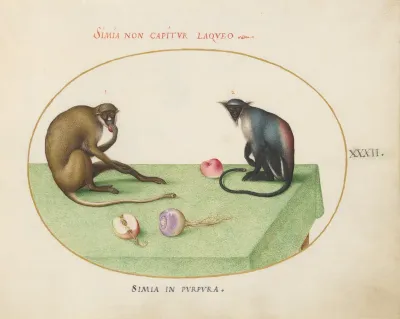 Plate 32: Two Monkeys on a Table