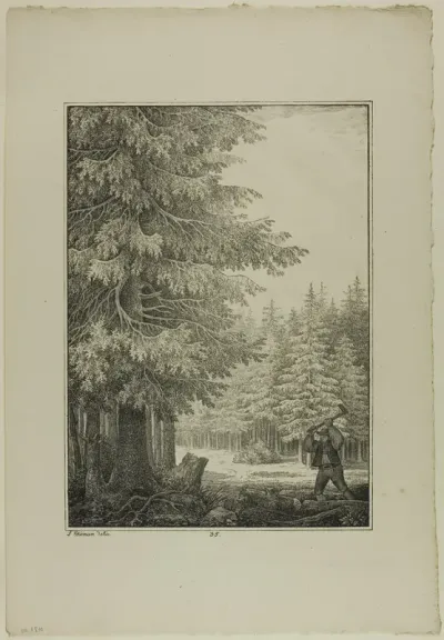 Plate 35 from Blatt Baum und Landschafts Studien