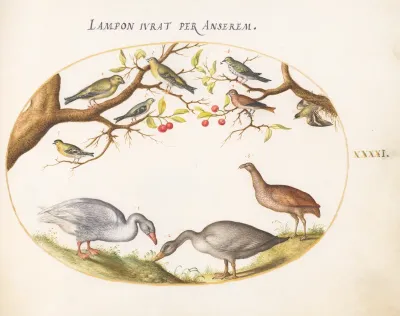 Plate 41: Two Gray Geese with Songbirds in a Cherry Tree