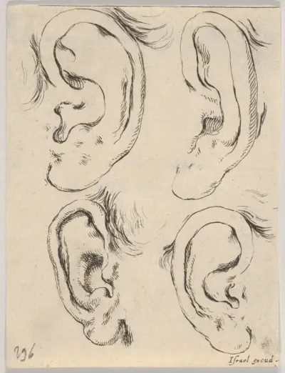 Plate 5: Four ears, from "The Book for Learning to Draw" (Livre pour apprendre à dessiner)