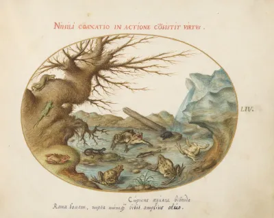Plate 54: Frogs, Lizards, and Salamanders(?) in a Landscape