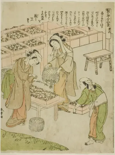 Plate 6 (Examining the Newly Spun Cocoons), from the series "Kaiko Yashinai-gusa"