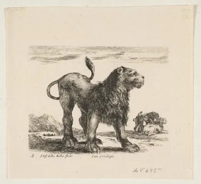 Plate 6: Lion, from "Various animals" (Diversi animali)