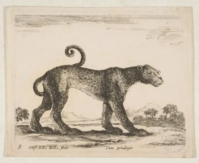 Plate 9: Leopard, from "Various animals" (Diversi animali)