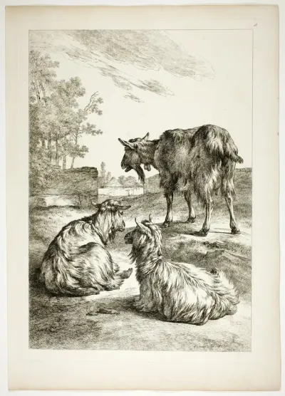 Plate Eighteen of 38 from Oeuvres de J. B. Huet