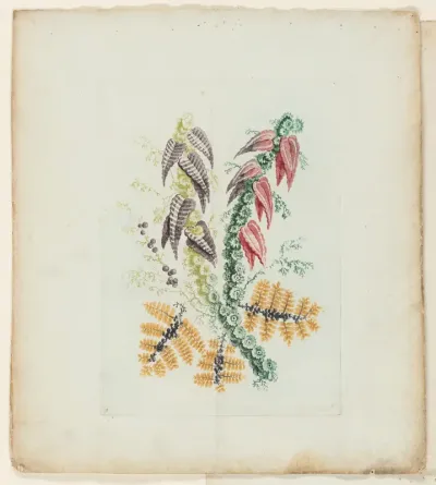 Plate, from New Suite of Notebooks of Ideal Flowers for Use by Draftsmen and Painters