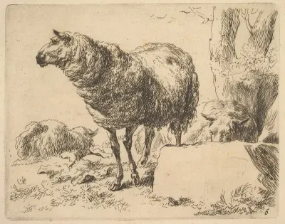 Plate from "The Set of Sheep"