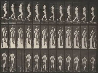 Plate Number 119. Descending an incline with right hand on breast