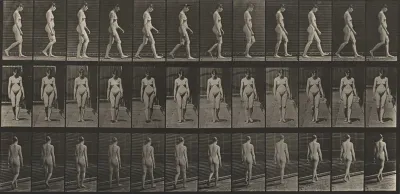 Plate Number 13. Walking