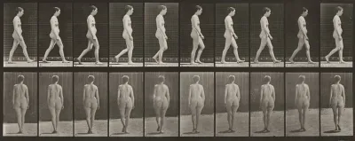Plate Number 15. Walking