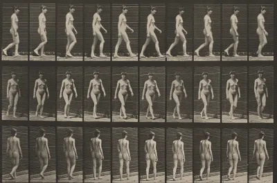 Plate Number 16. Walking