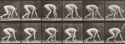 Plate Number 183. Walking on hands and feet