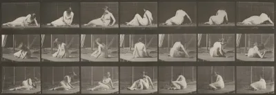 Plate Number 267. Turning and changing position while on the ground