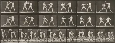 Plate Number 329. Boxing