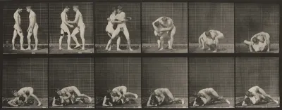 Plate Number 345. Wrestling, lock
