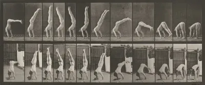 Plate Number 371. Acrobat, vertical "press up"