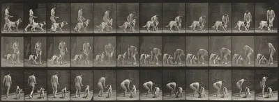 Plate Number 449. Feeding a dog