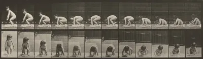 Plate Number 479. Child getting up from the ground