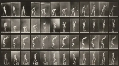 Plate Number 488. A: Lawn tennis. B: Dumbbells. C: Walking on hands. D: Ascending stairs
