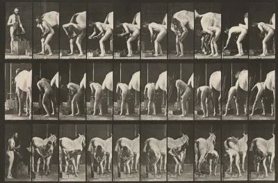 Plate Number 508. Shoeing a horse