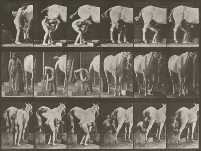 Plate Number 509. Shoeing a horse
