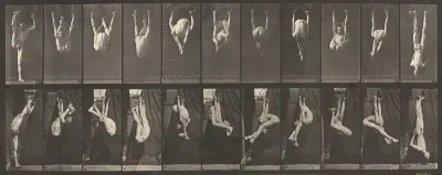 Plate Number 512. Contortions on the rings