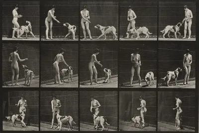 Plate Number 514. Feeding a dog