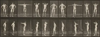 Plate Number 529. Various poses