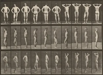 Plate Number 530. Various poses