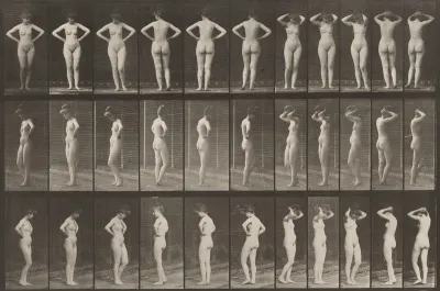 Plate Number 531. Various poses