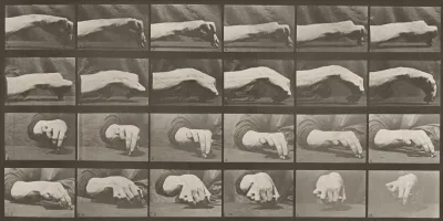 Plate Number 532. Movement of the hand, drawing a circle