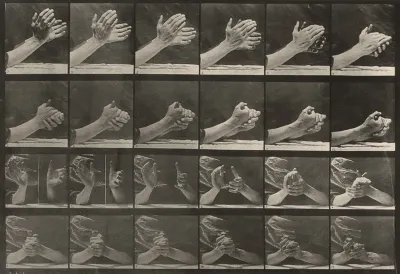 Plate Number 533. Movement of the hand, clasping hands