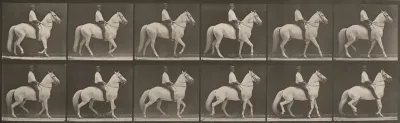 Plate Number 577. "Clinton" walking, mounted, irregular