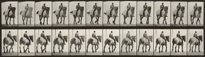 Plate Number 578. "Dusel" walking, bareback