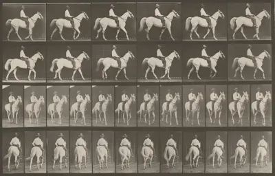 Plate Number 579. "Elberon" walking, saddled