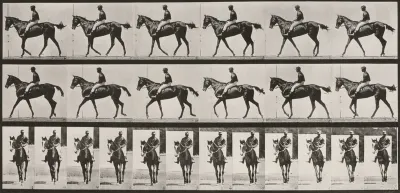 Plate Number 580. " Annie G." walking, saddled