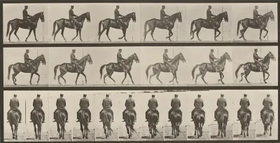 Plate Number 584. "Beauty" walking, saddled, irregular