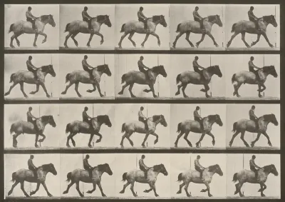Plate Number 597. "Hansel" trotting, bareback