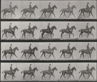 Plate Number 598. "Daisy" trotting, saddled