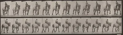Plate Number 599. "Dusel" trotting, bareback