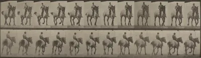 Plate Number 600. "Dusel" trotting, bareback