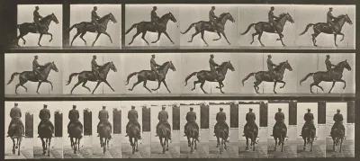 Plate Number 601. "Beauty" trotting, saddled
