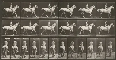 Plate Number 602. "Smith" trotting, bareback; rider nude